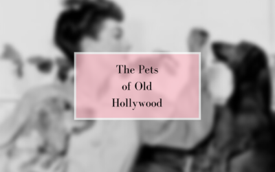The Pets of Old Hollywood Featuring Joan Crawford, Audrey Hepburn, & More